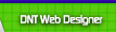 Web Designer